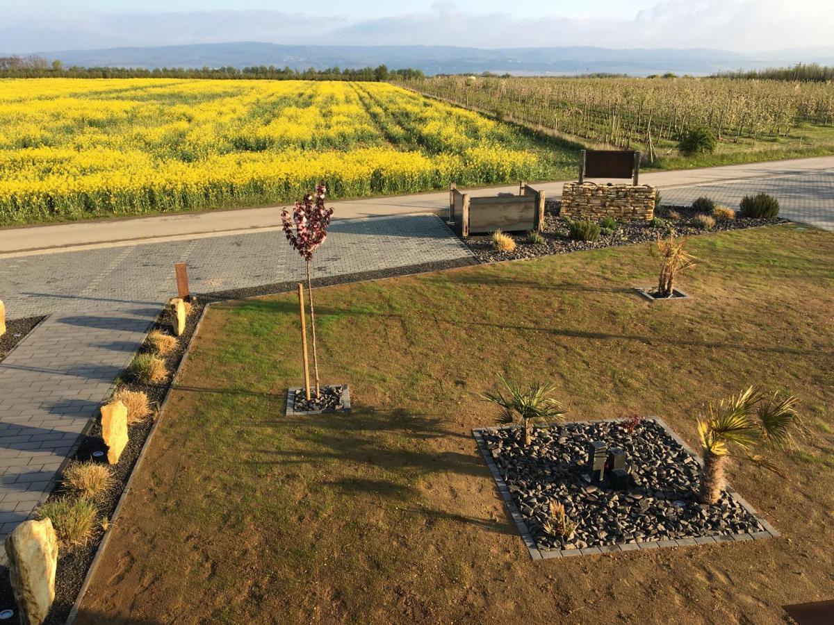 Wohnung 2 Im Kirschbluetenhof Ингельхайм-ам-Райн Экстерьер фото